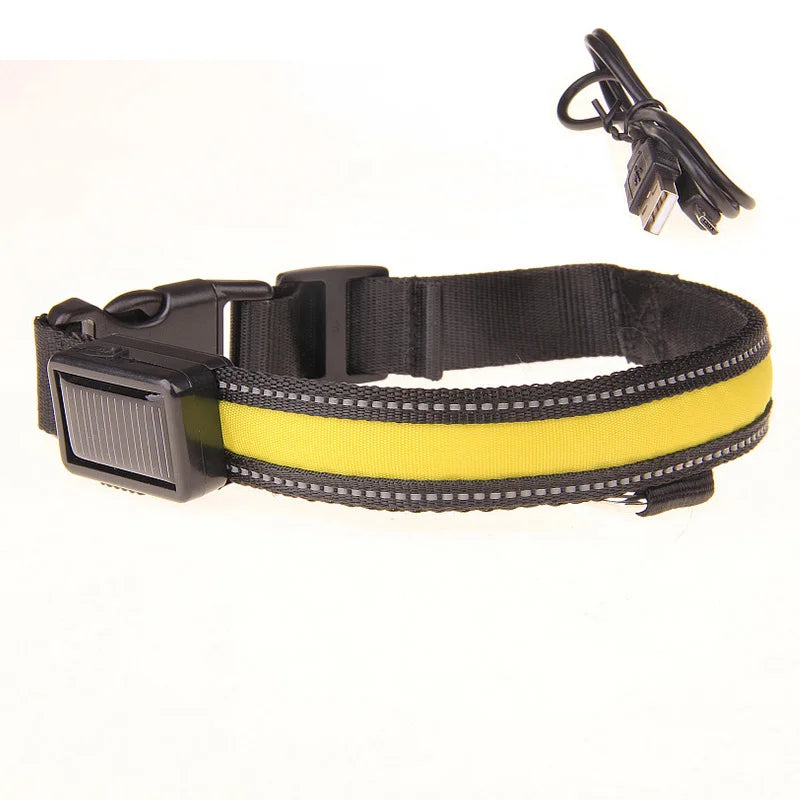 Hund halsband med led ljus