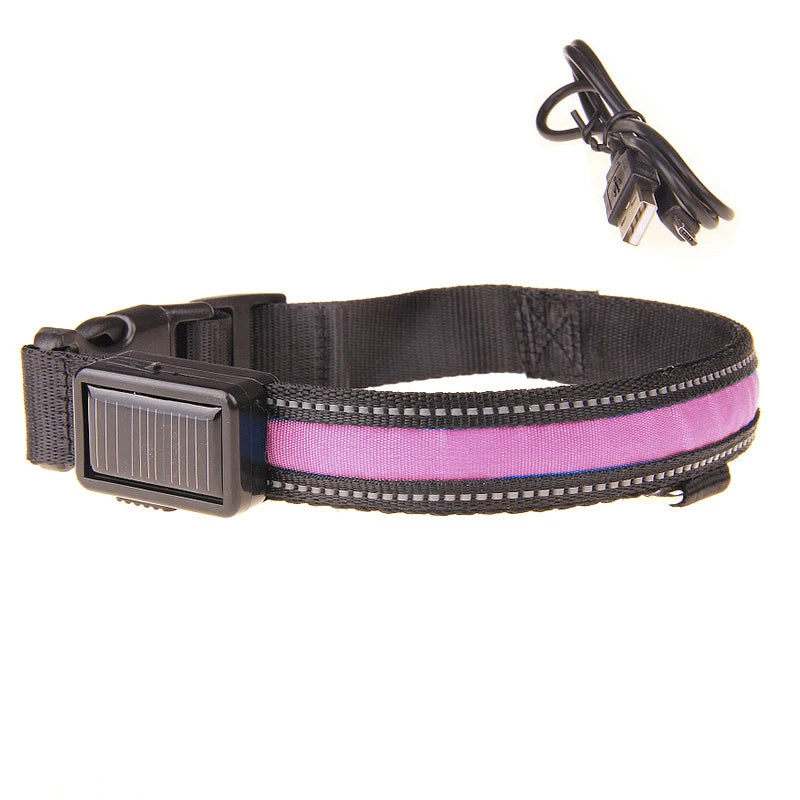 Hund halsband med led ljus