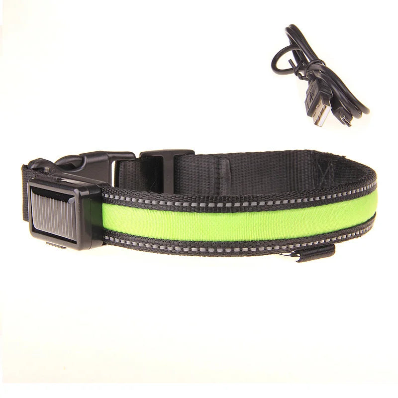 Hund halsband med led ljus