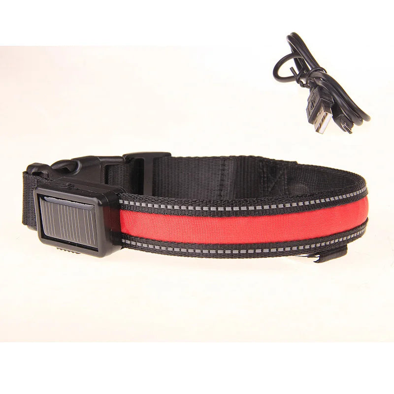 Hund halsband med led ljus