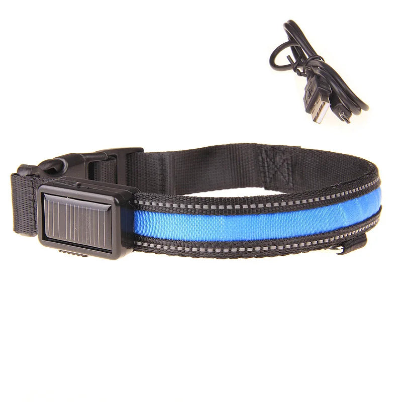 Hund halsband med led ljus