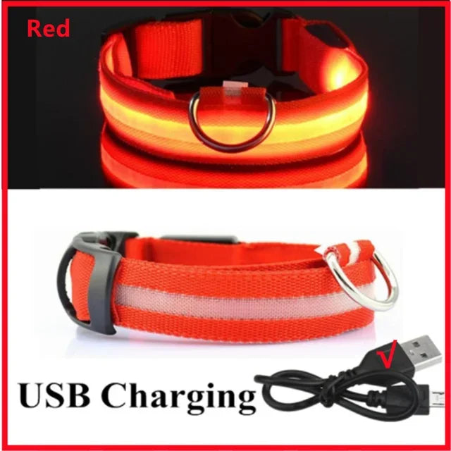 Hund halsband med led ljus