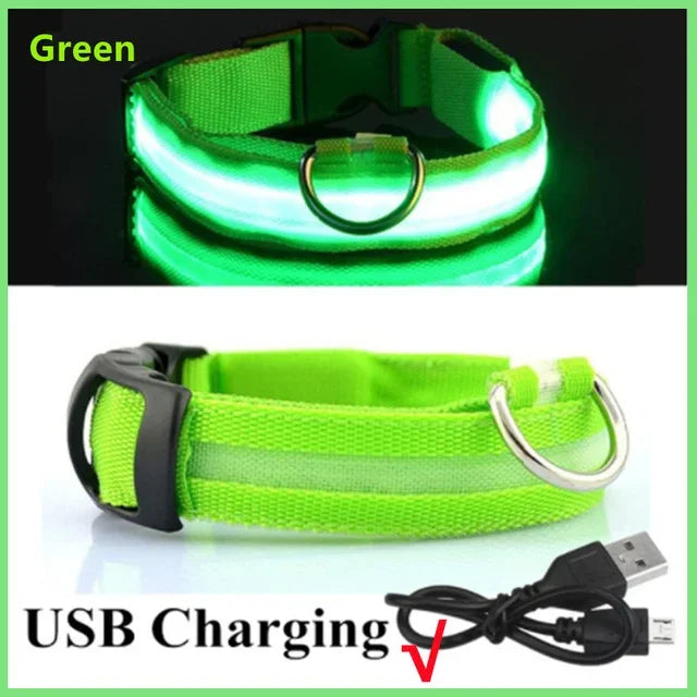 Hund halsband med led ljus