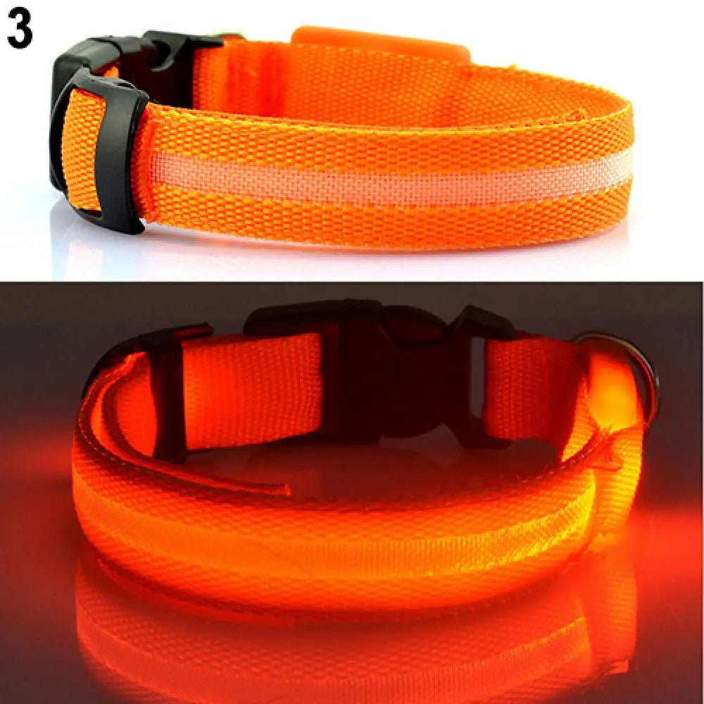 Hund halsband med led ljus