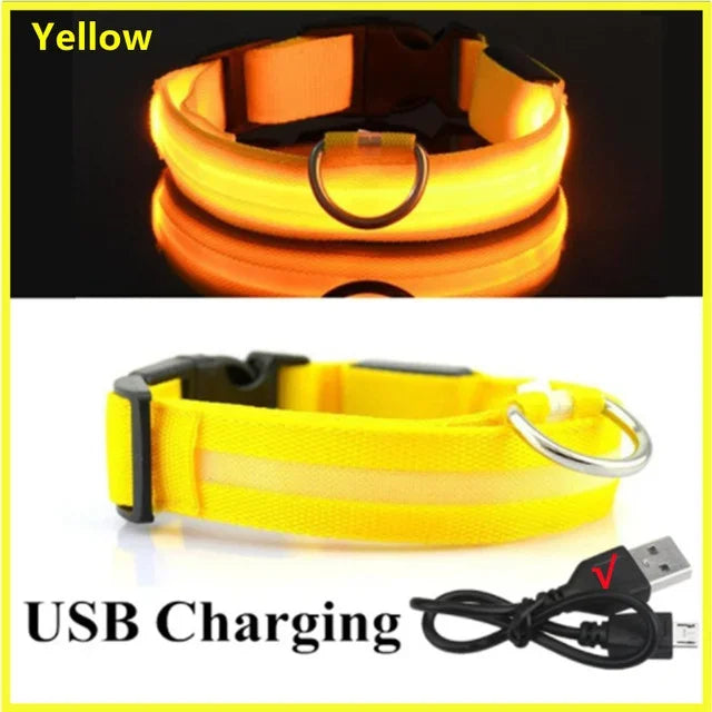 Hund halsband med led ljus