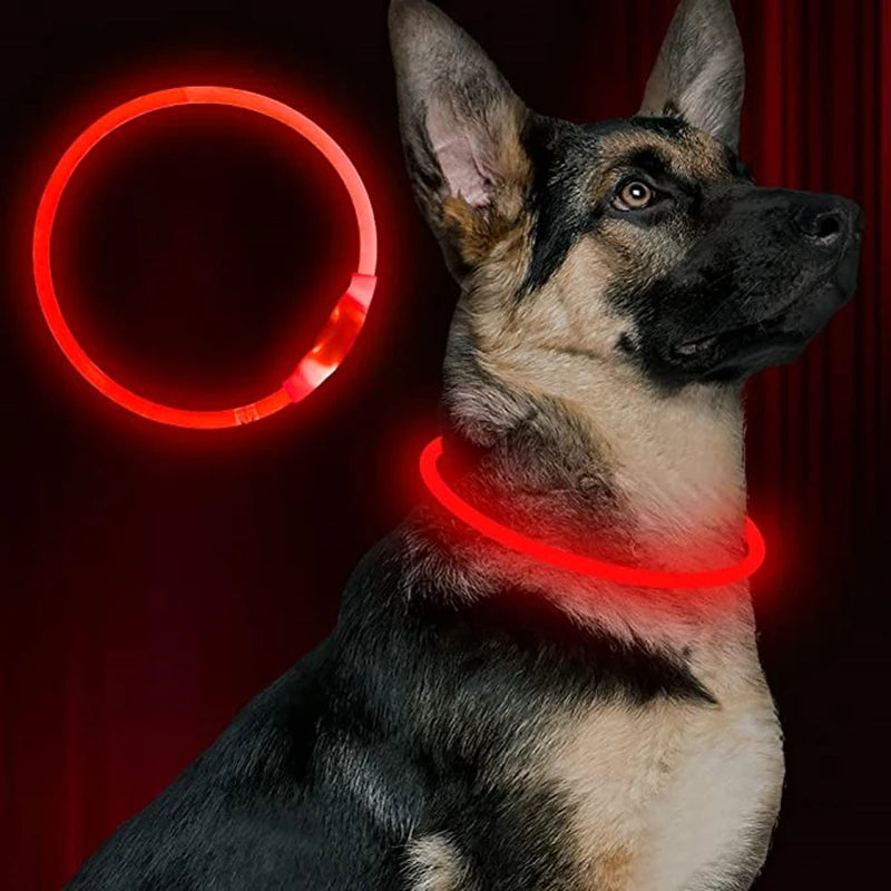 Hund halsband med led ljus