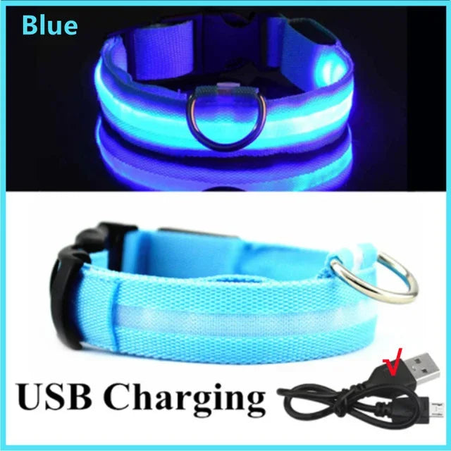Hund halsband med led ljus