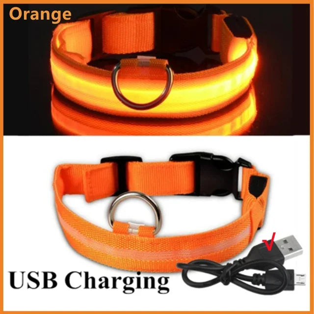 Hund halsband med led ljus