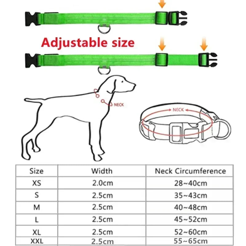 Hund halsband med led ljus