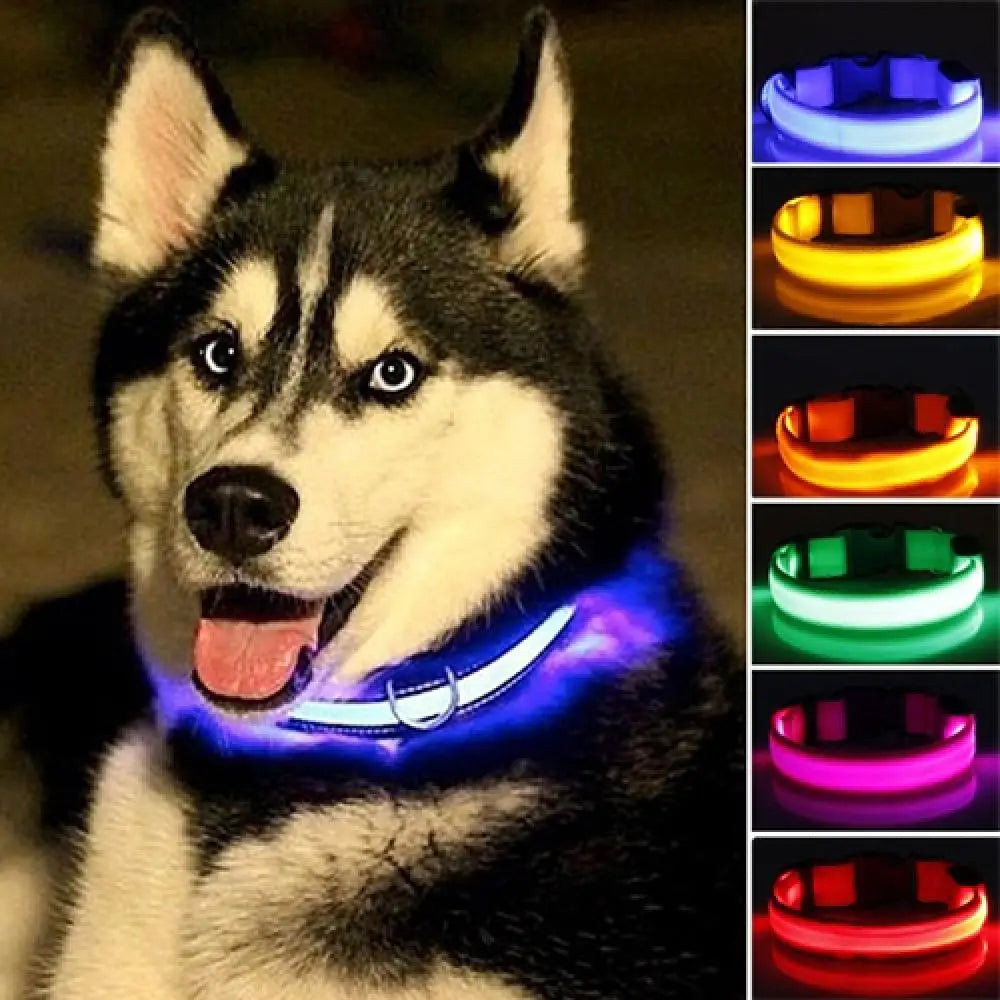 Hund halsband med led ljus