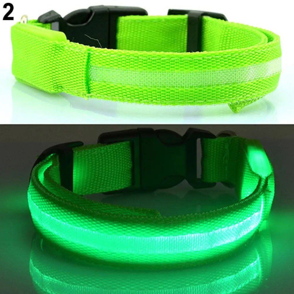 Hund halsband med led ljus