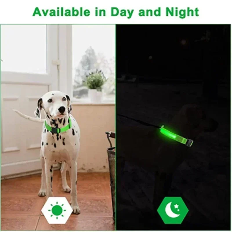 Hund halsband med led ljus