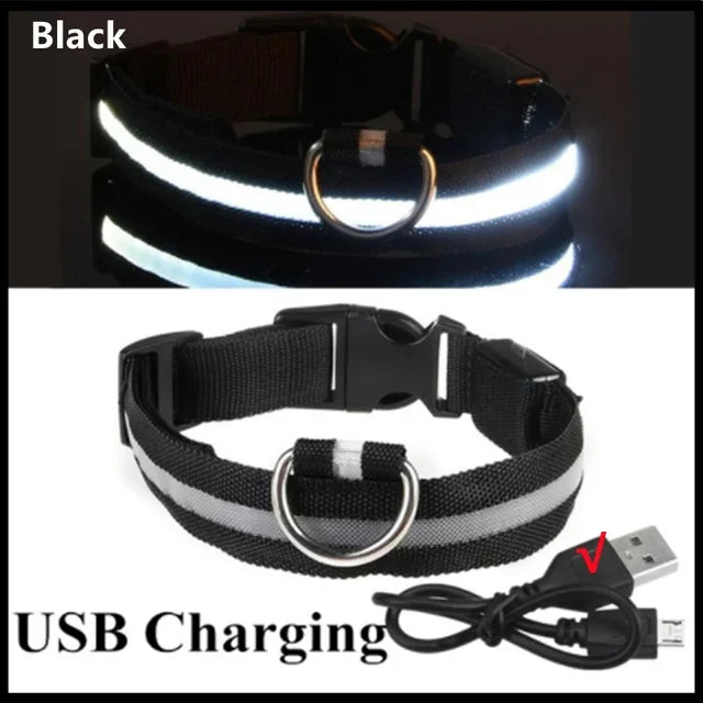 Hund halsband med led ljus