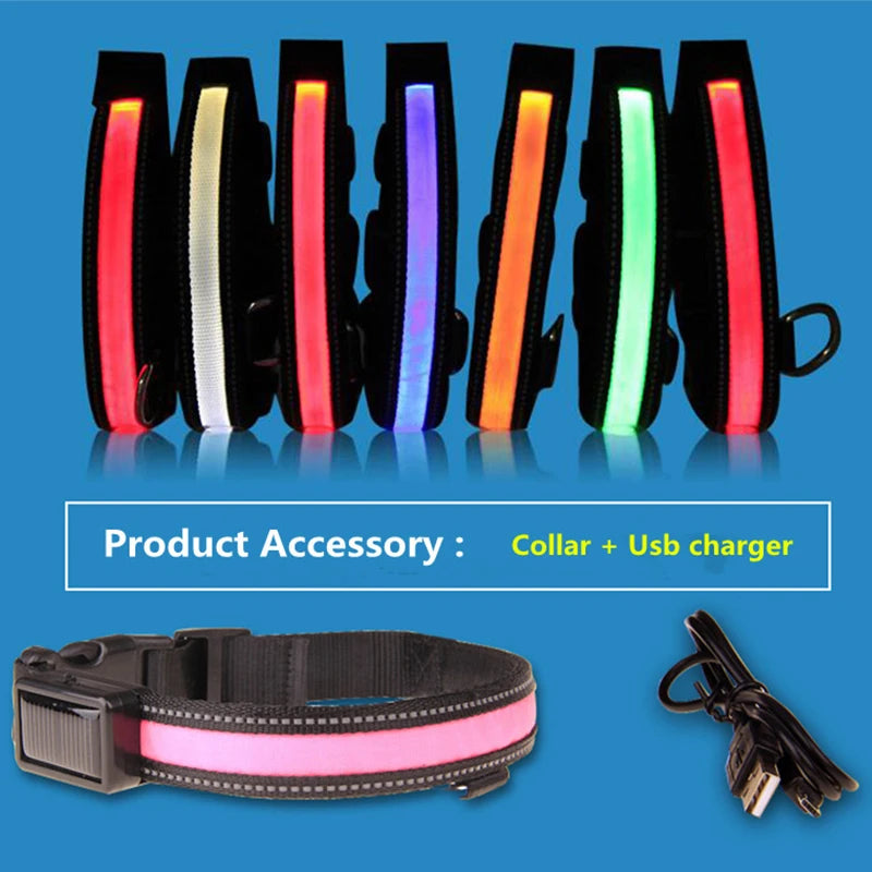 Hund halsband med led ljus