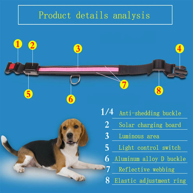 Hund halsband med led ljus