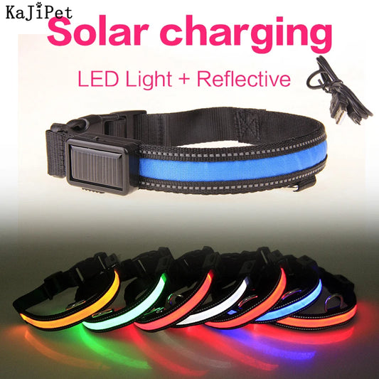 Hund halsband med led ljus