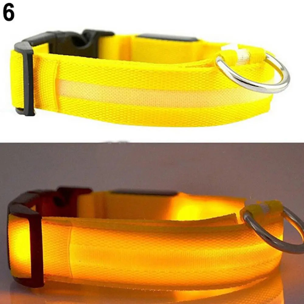 Hund halsband med led ljus