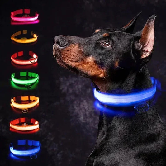 Hund halsband med led ljus