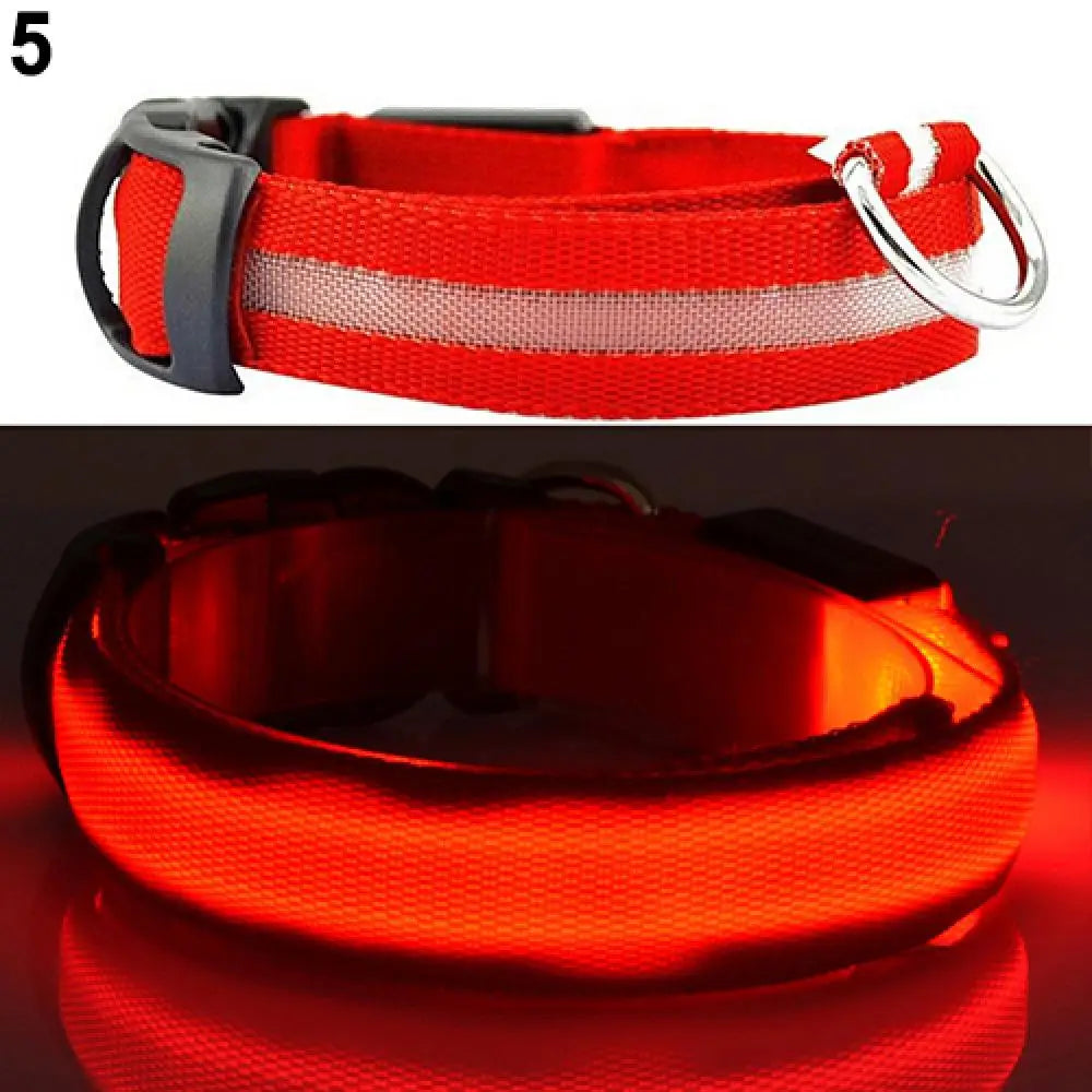 Hund halsband med led ljus