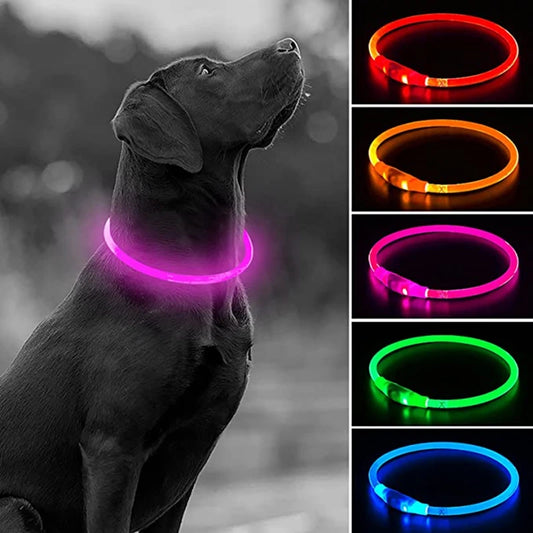 Hund halsband med led ljus