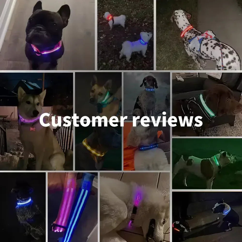 Hund halsband med led ljus